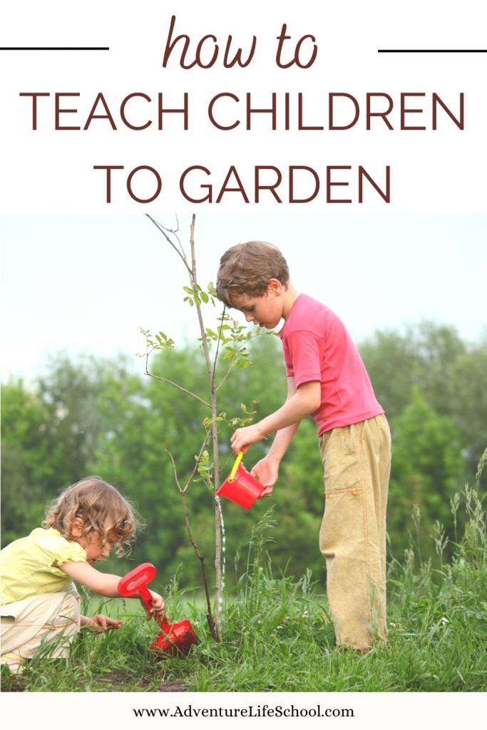 How Can I Teach Children to Garden?